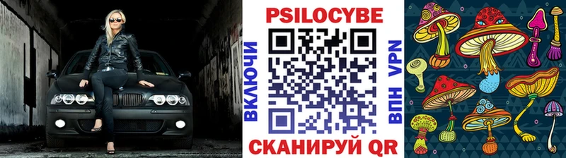 Галлюциногенные грибы Psilocybe  darknet как зайти  Урус-Мартан  наркотики  ОМГ ОМГ сайт 